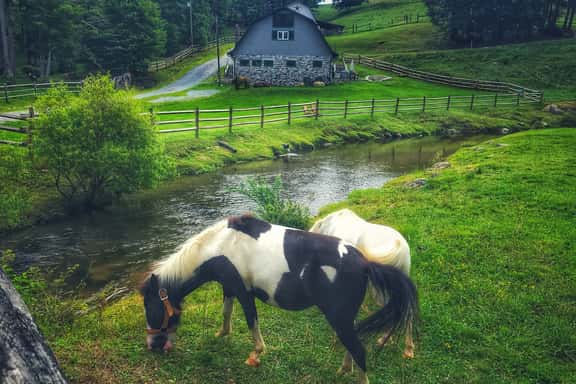Entire Barn Farm Stay Petting Zoo Tube Slide Ziplines - Image 1