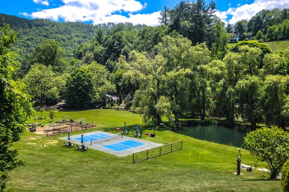 Petting Zoo and Pickleball plus Hot Tub Ziplines Slide - Image 3