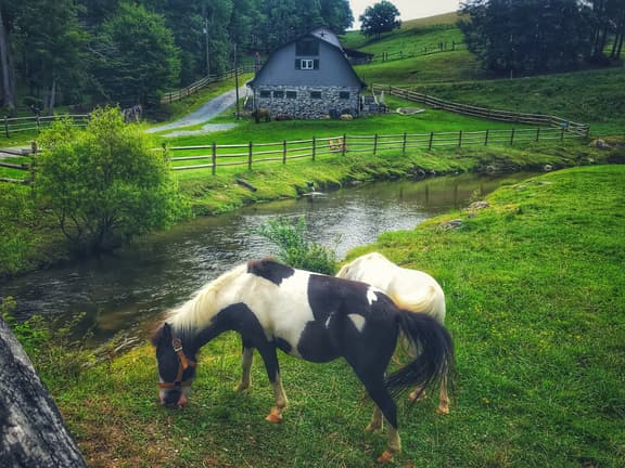 Entire Barn Farm Stay Petting Zoo Tube Slide Ziplines - Image 1