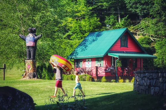 Petting Zoo and Pickleball plus Hot Tub Ziplines Slide - Image 1